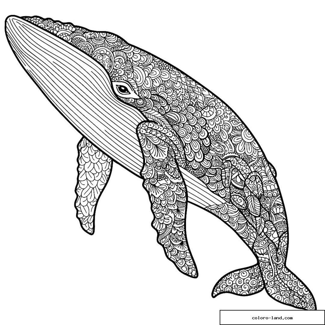 Baleine entièrement couverte de motifs zentangle détaillés