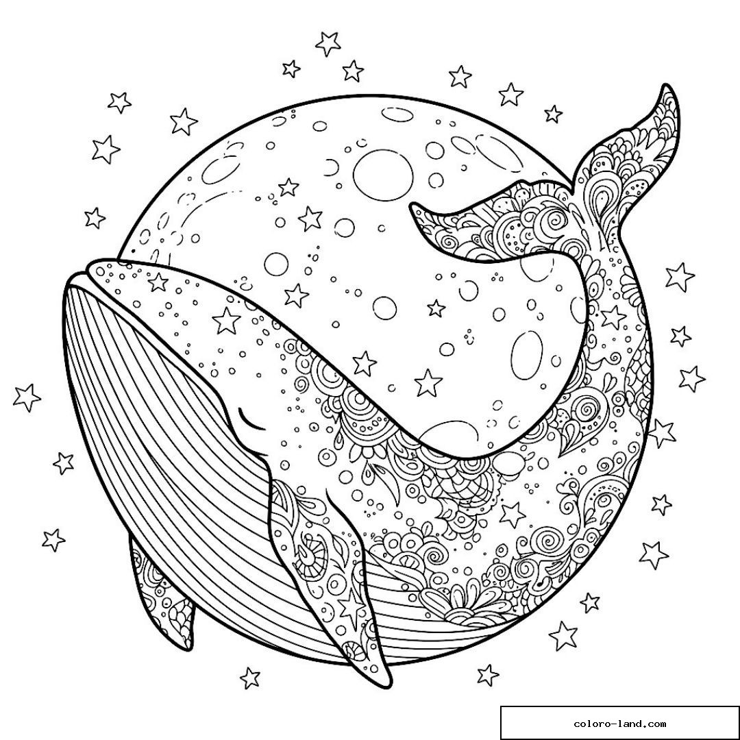 Baleine décorative dans un cercle lunaire entouré d'étoiles