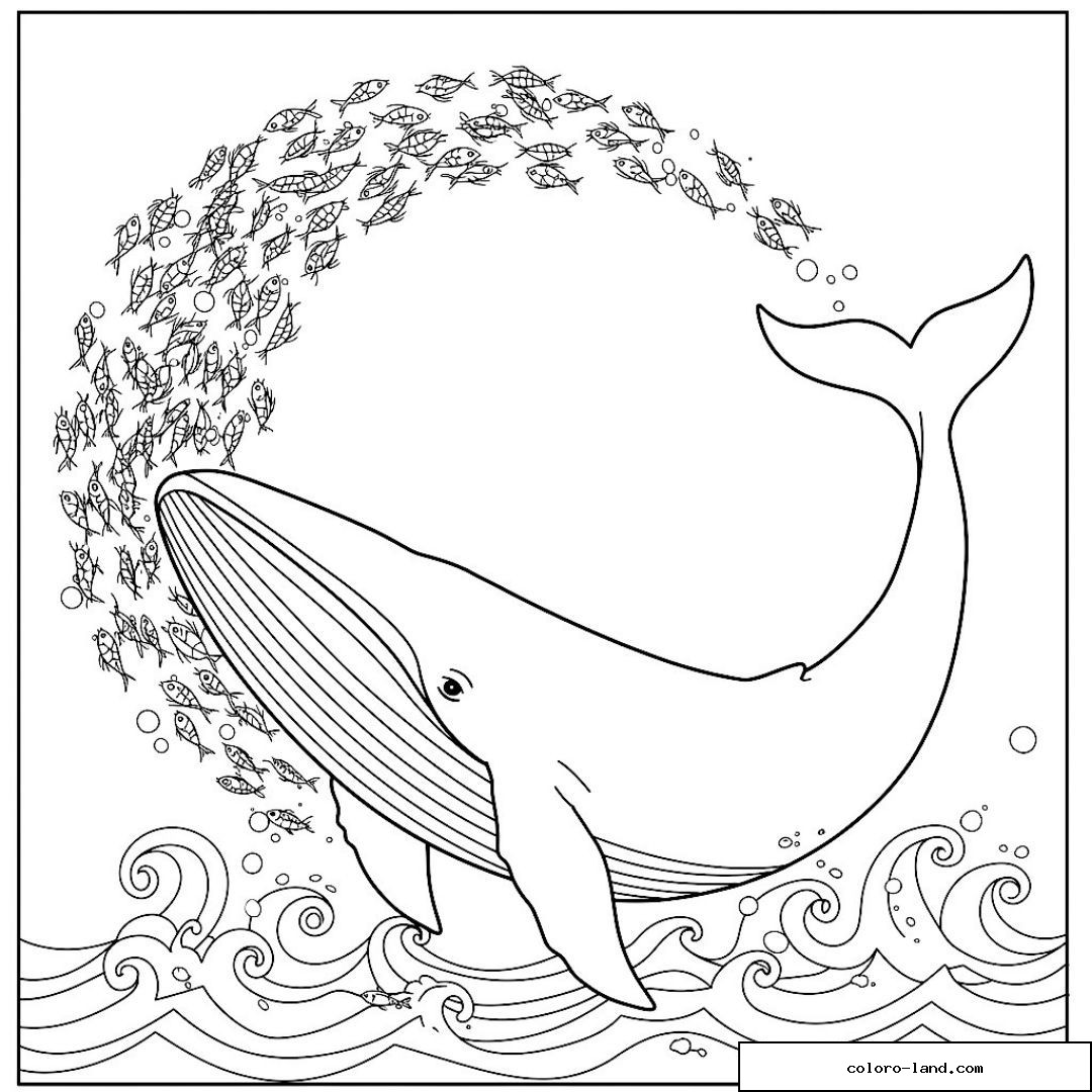Volée de poissons en arc de cercle au-dessus d'une baleine ornementée