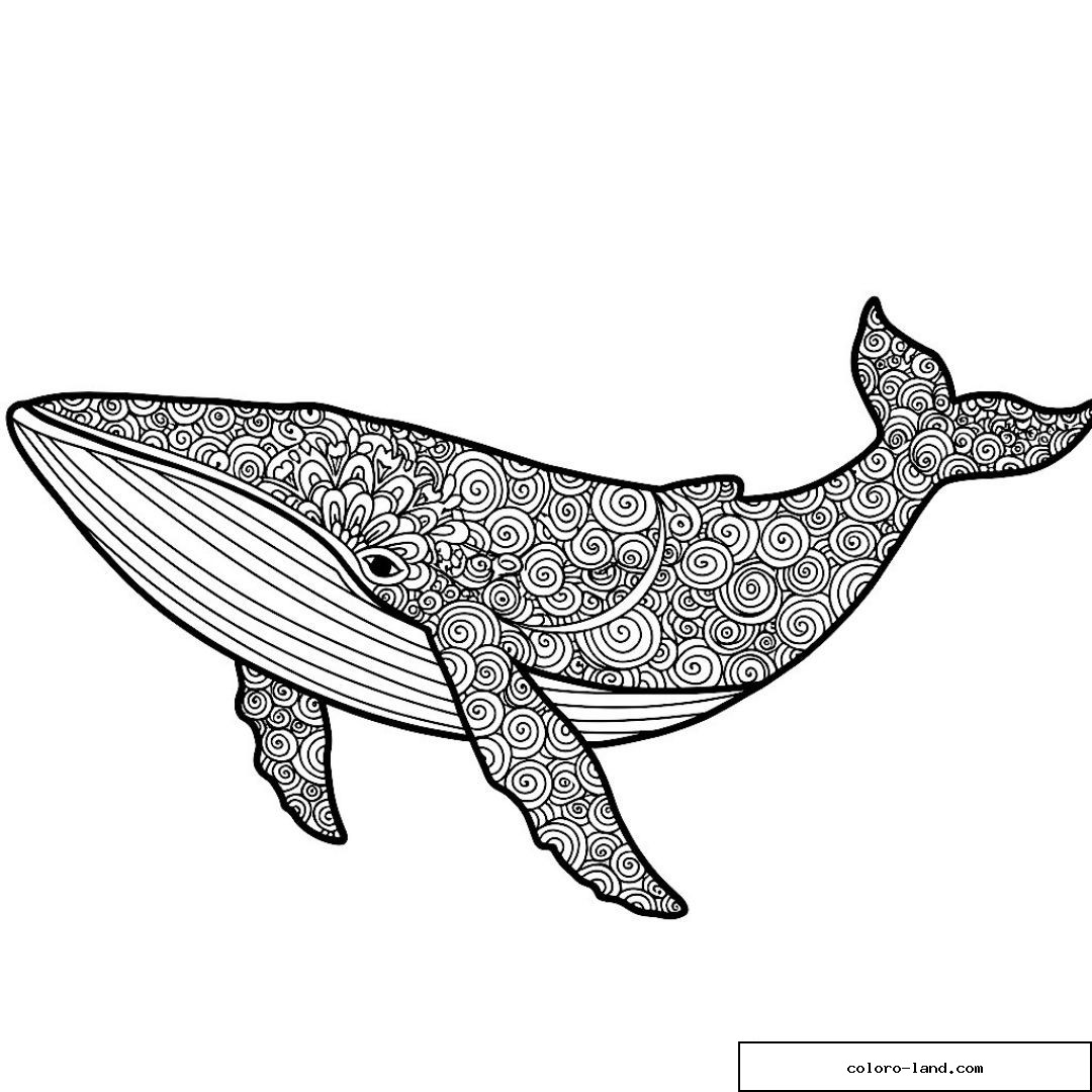 Baleine entièrement couverte de spirales régulières façon mandala