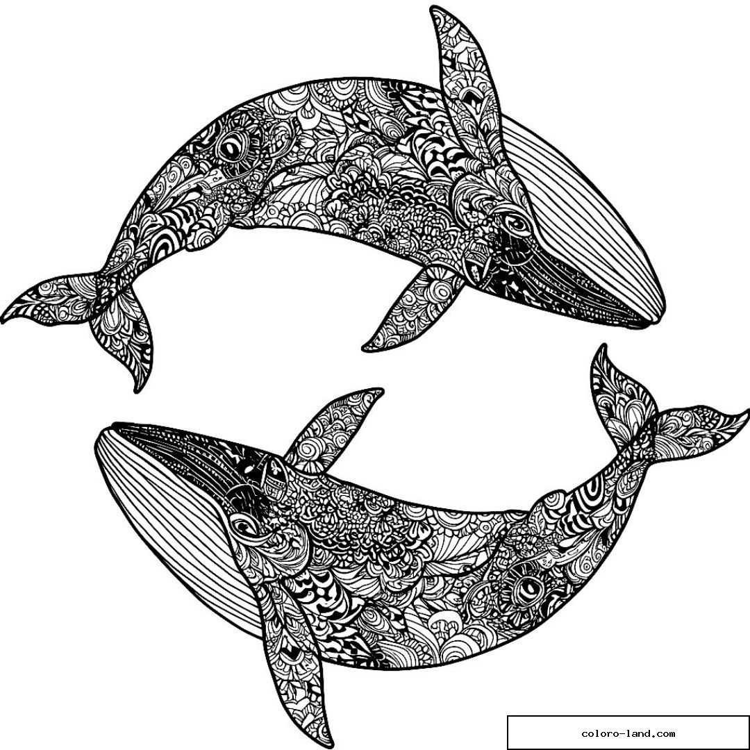 Baleine ornementée entourée d'un grand arc de petits poissons