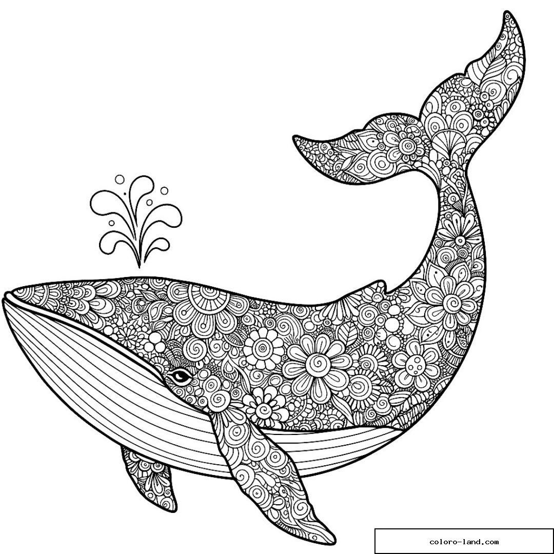 Baleine dont tout le corps est recouvert de petites fleurs