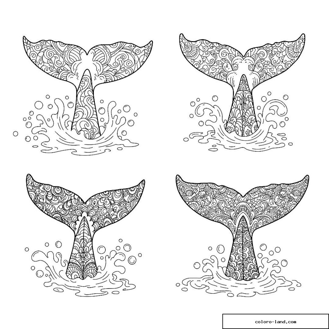 Quatre queues de baleine décorées de motifs zentangle différents
