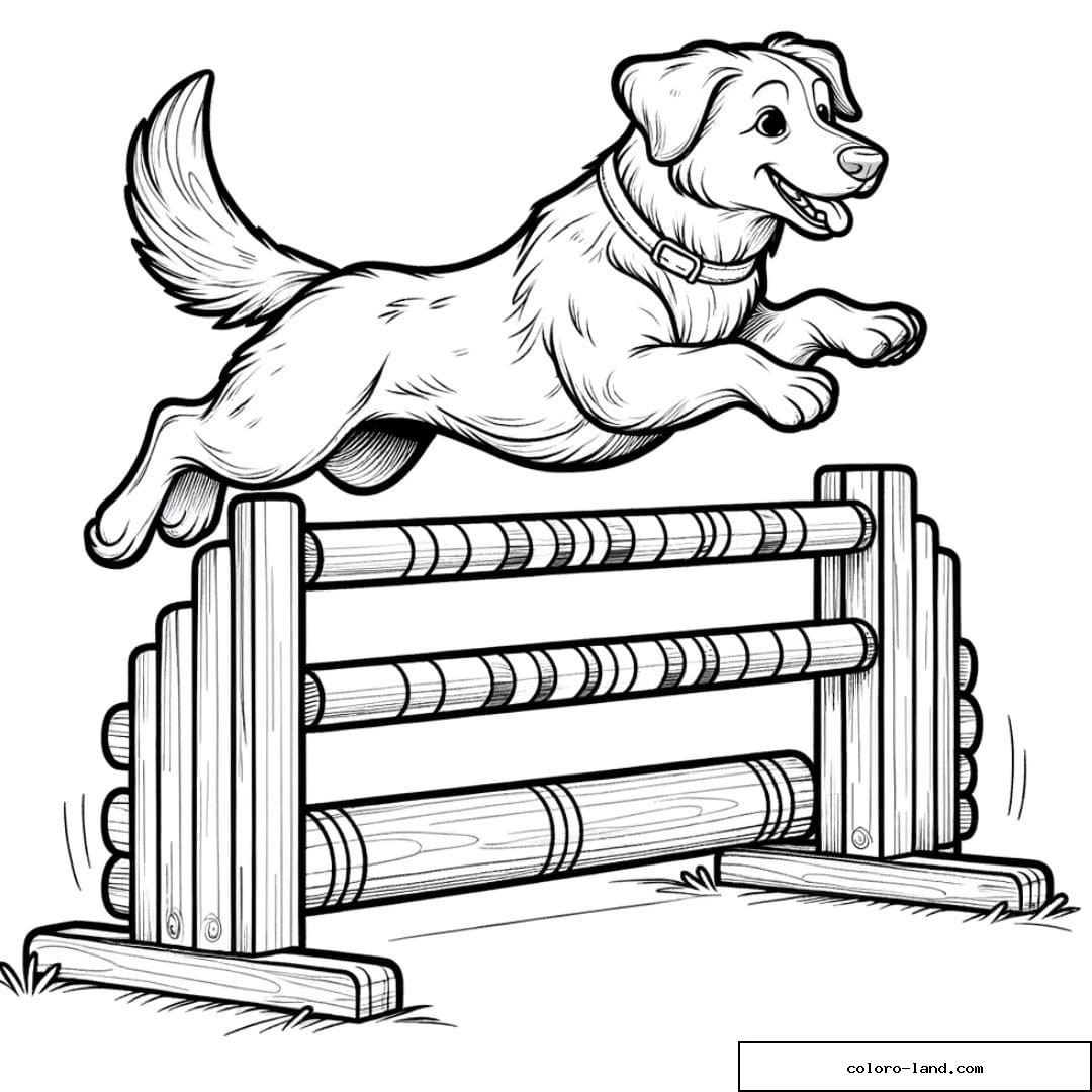 Coloriage d'un Chien agile dans une course d'obstacles