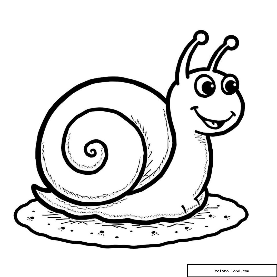 Dessin d'un escargot joyeux souriant sur une feuille.