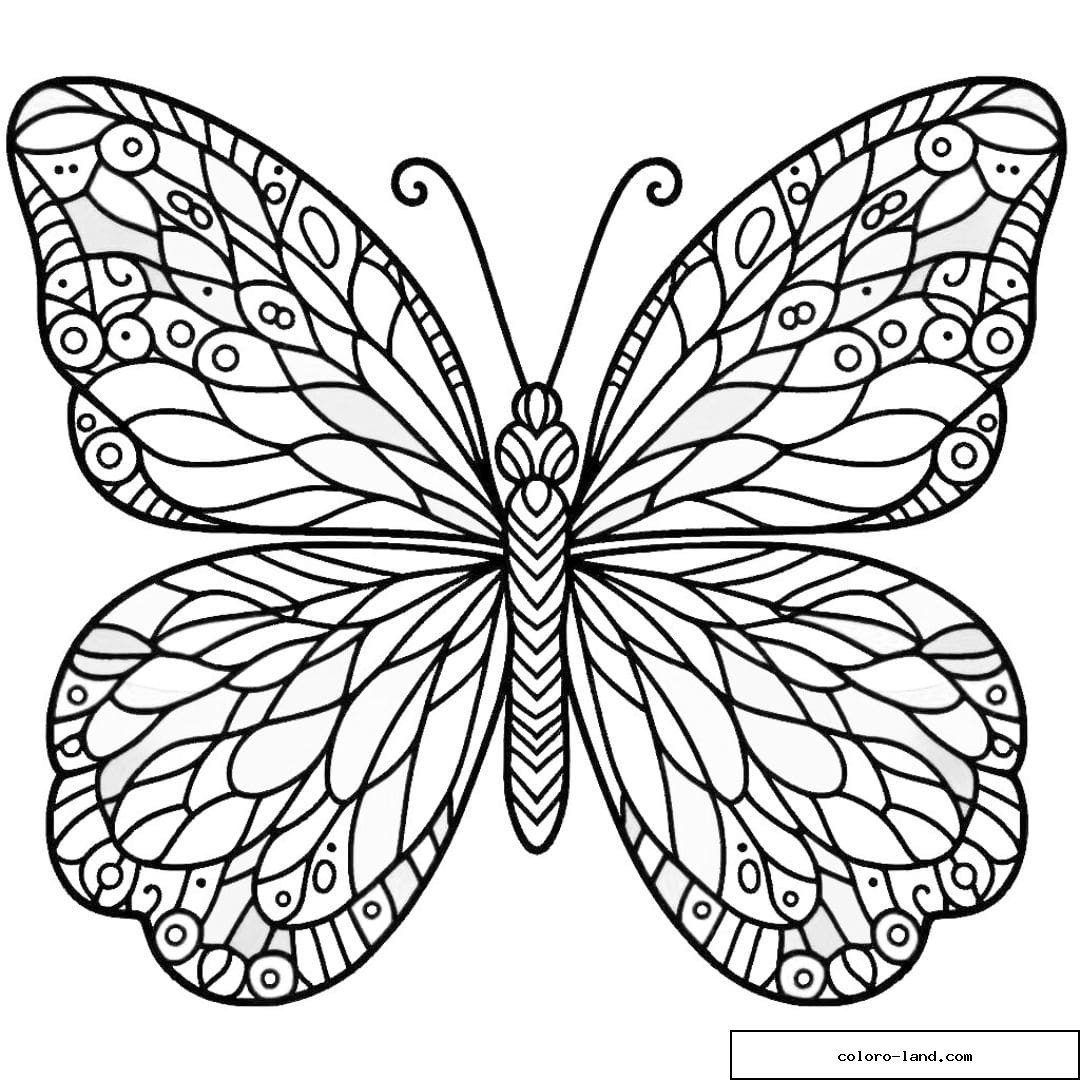 Papillon avec ailes de vitraux à colorier.