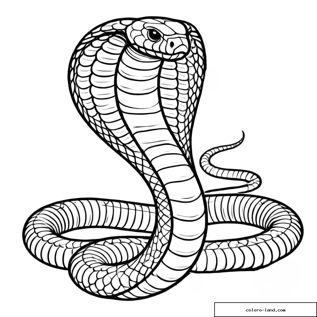Cobra royal réaliste au capuchon déployé et corps enroulé