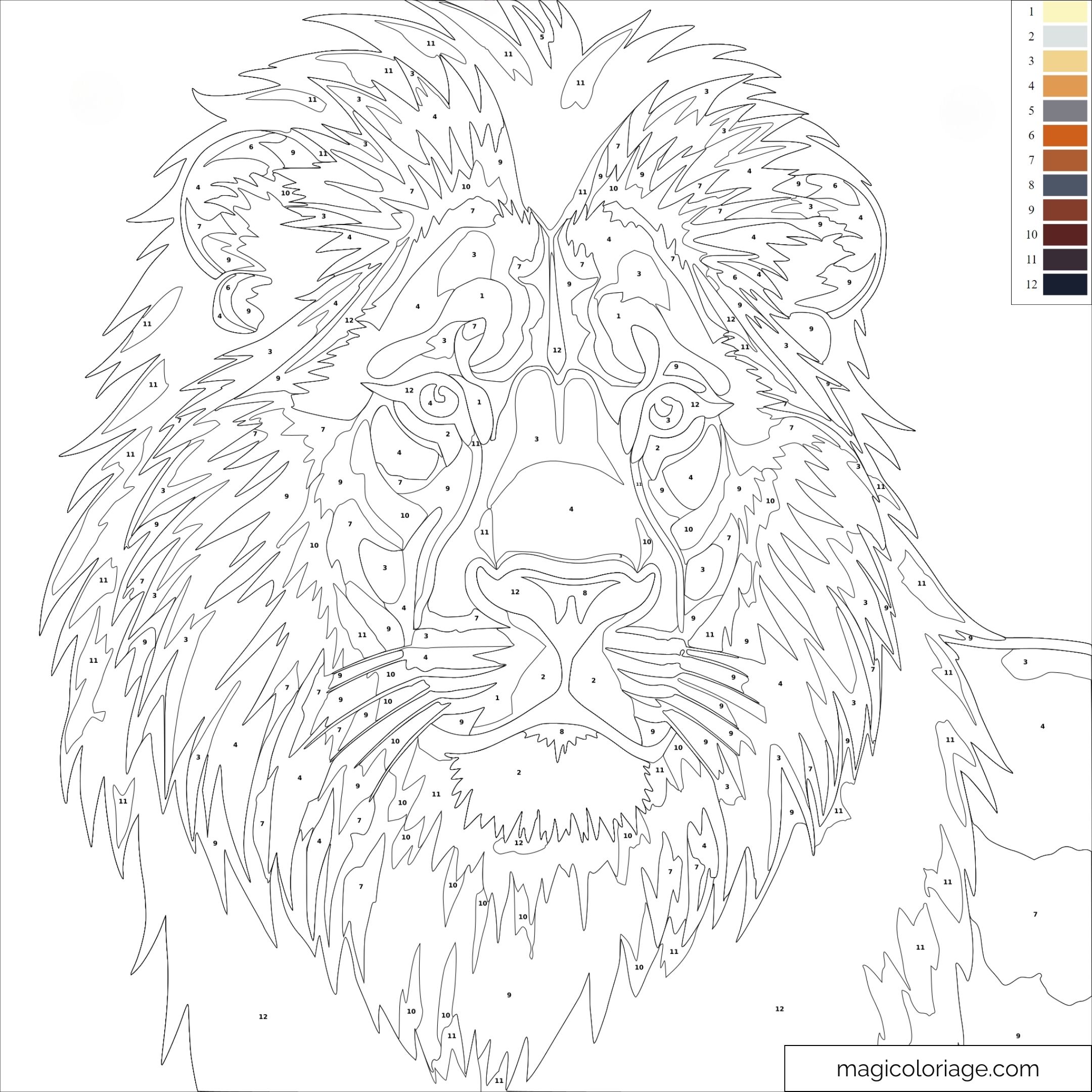 Lion à colorier par numéros pour enfants