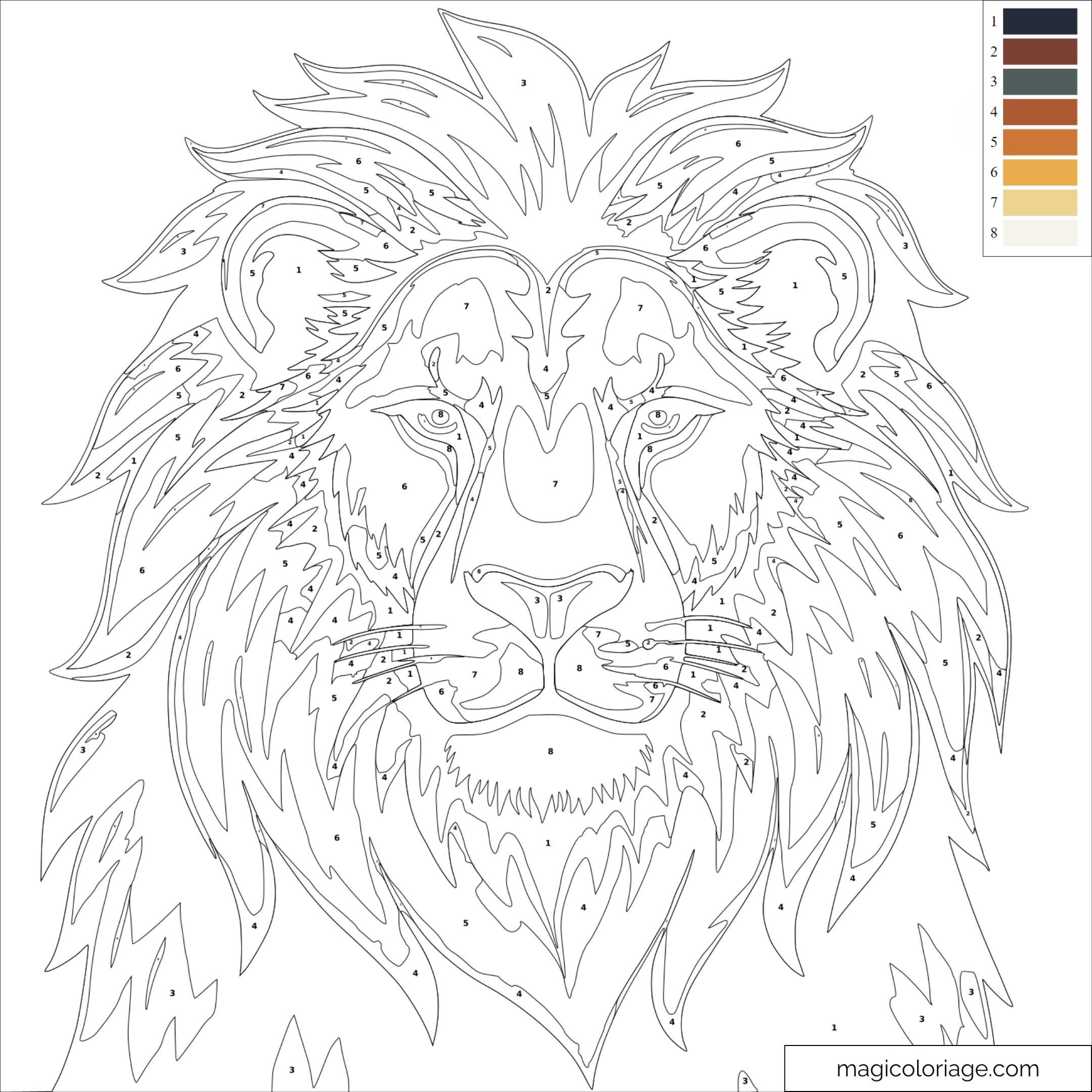 Dessin lion à colorier par numéros