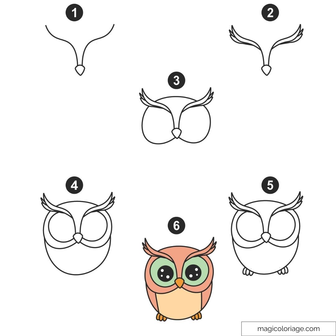 Illustration d'un hibou kawaii en six étapes pour dessin accrocheur.