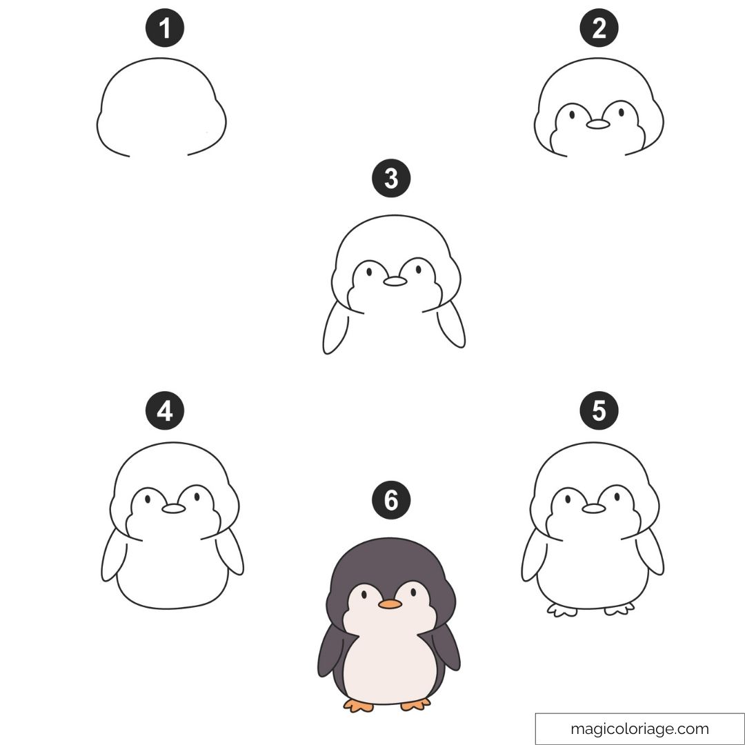 Étapes de dessin pour créer un pingouin mignon facilement.