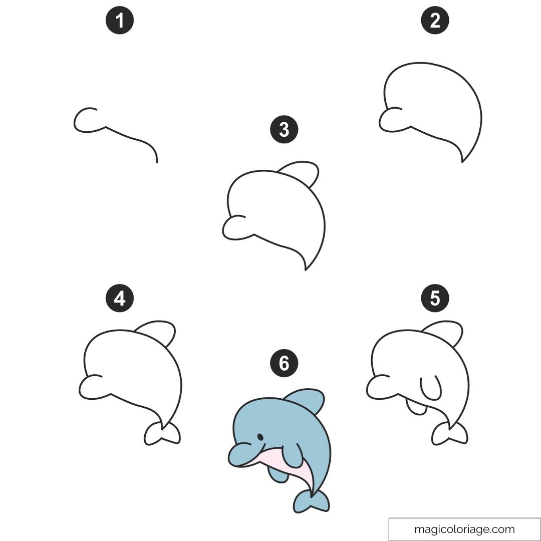 Tutoriel de dessin dauphin facile