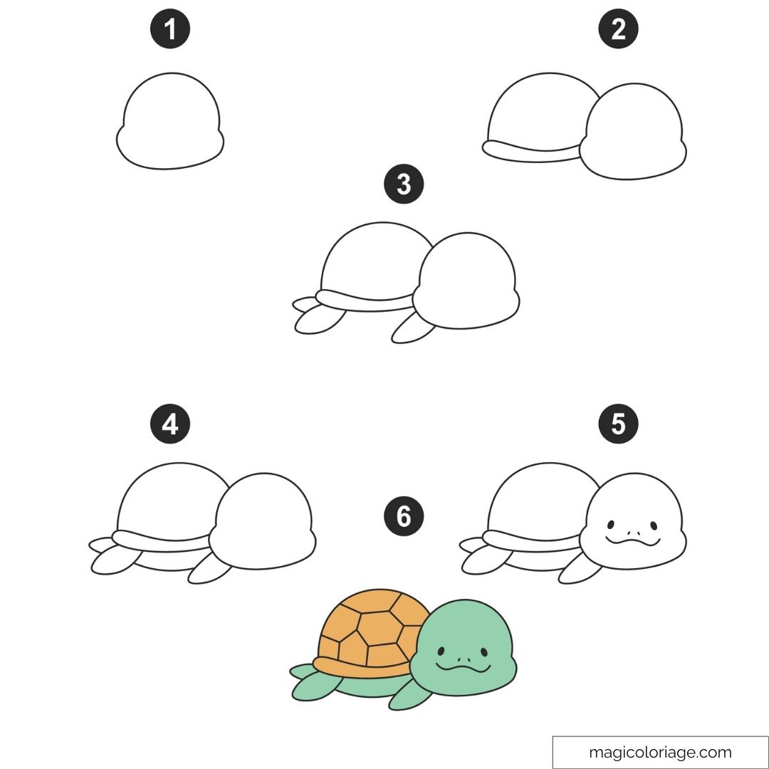 Tutoriel de dessin montrant les étapes pour réaliser une tortue mignonne et simple.