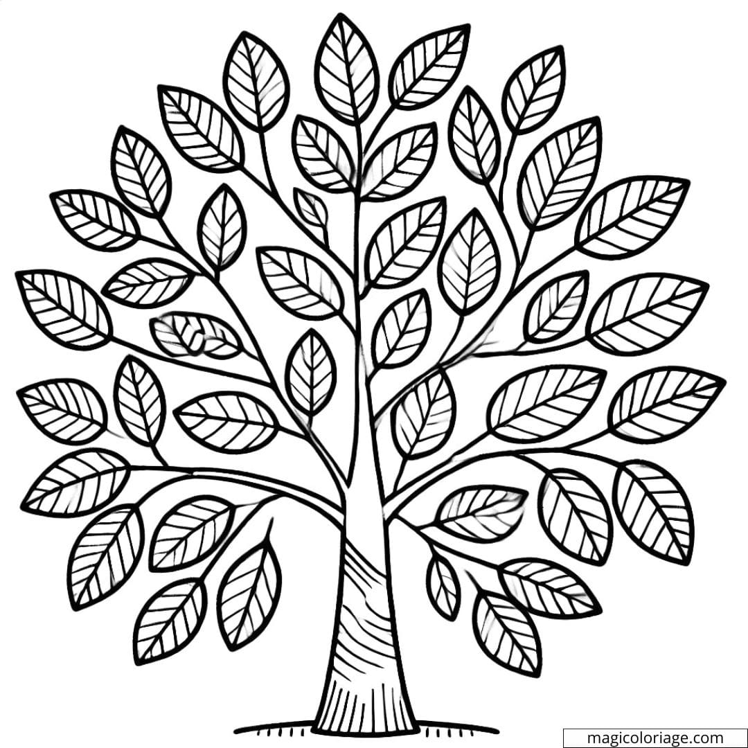 Dessin à colorier d'un arbre simple avec des feuilles larges, coloriage à imprimer pour enfants de maternelle