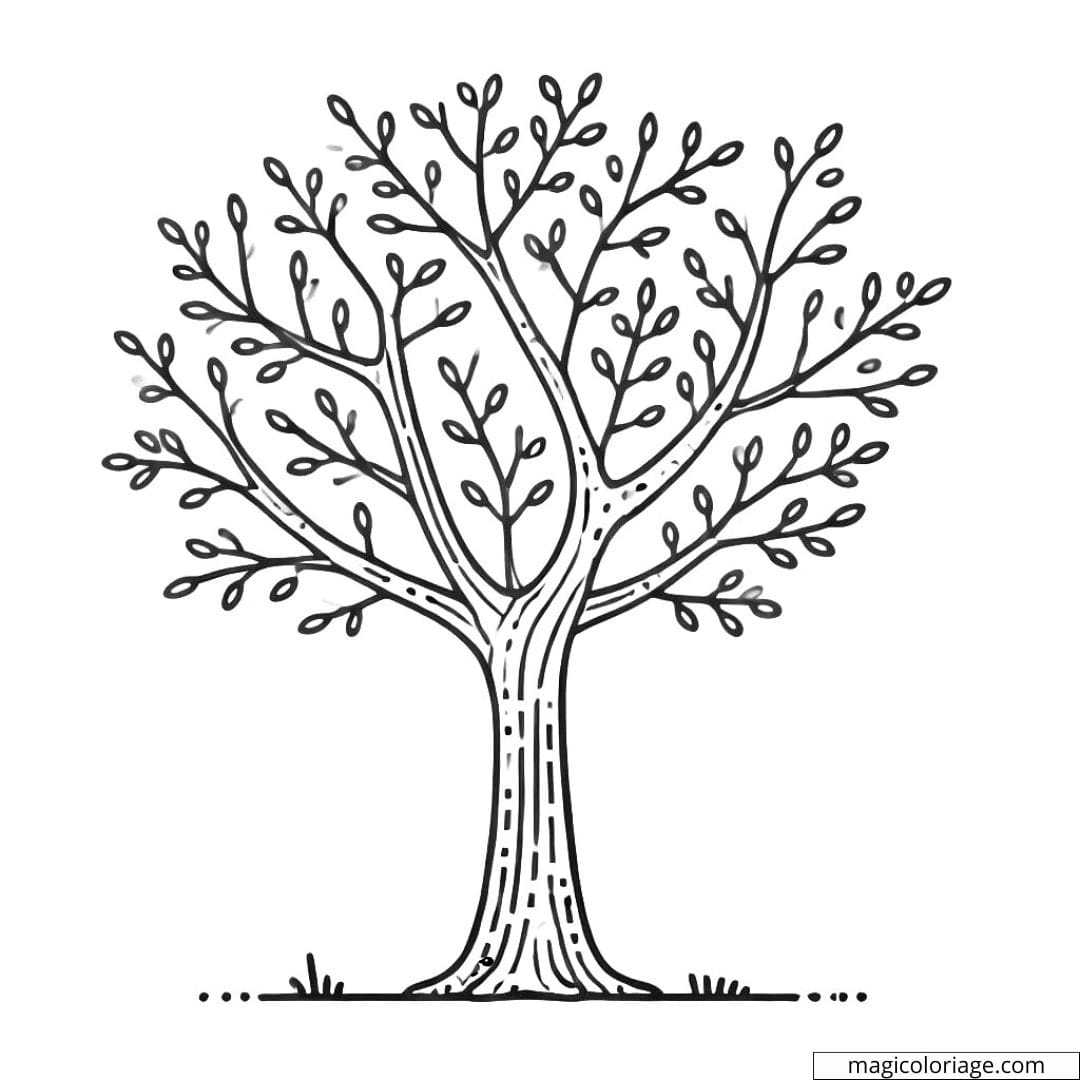 Dessin à colorier d'un arbre simple avec un tronc et des branches, coloriage à imprimer pour enfants
